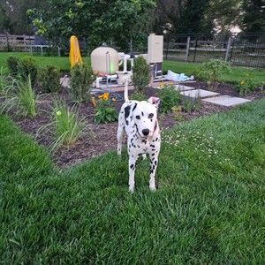 Meet your Posher, Leslie